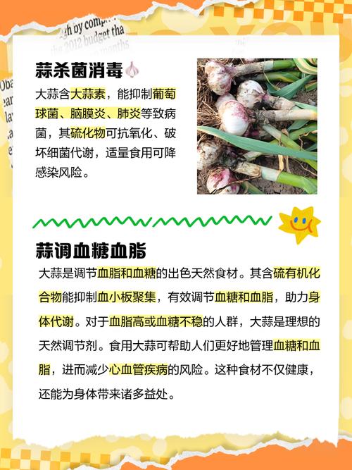 天天吃蒜對身體有什么壞處，天天釣魚